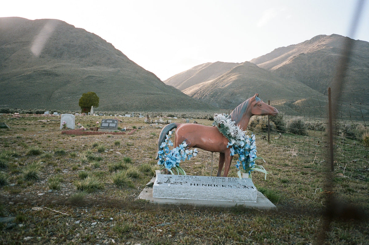 WINDOW SEAT: a playlist for colbo by jackson devereux