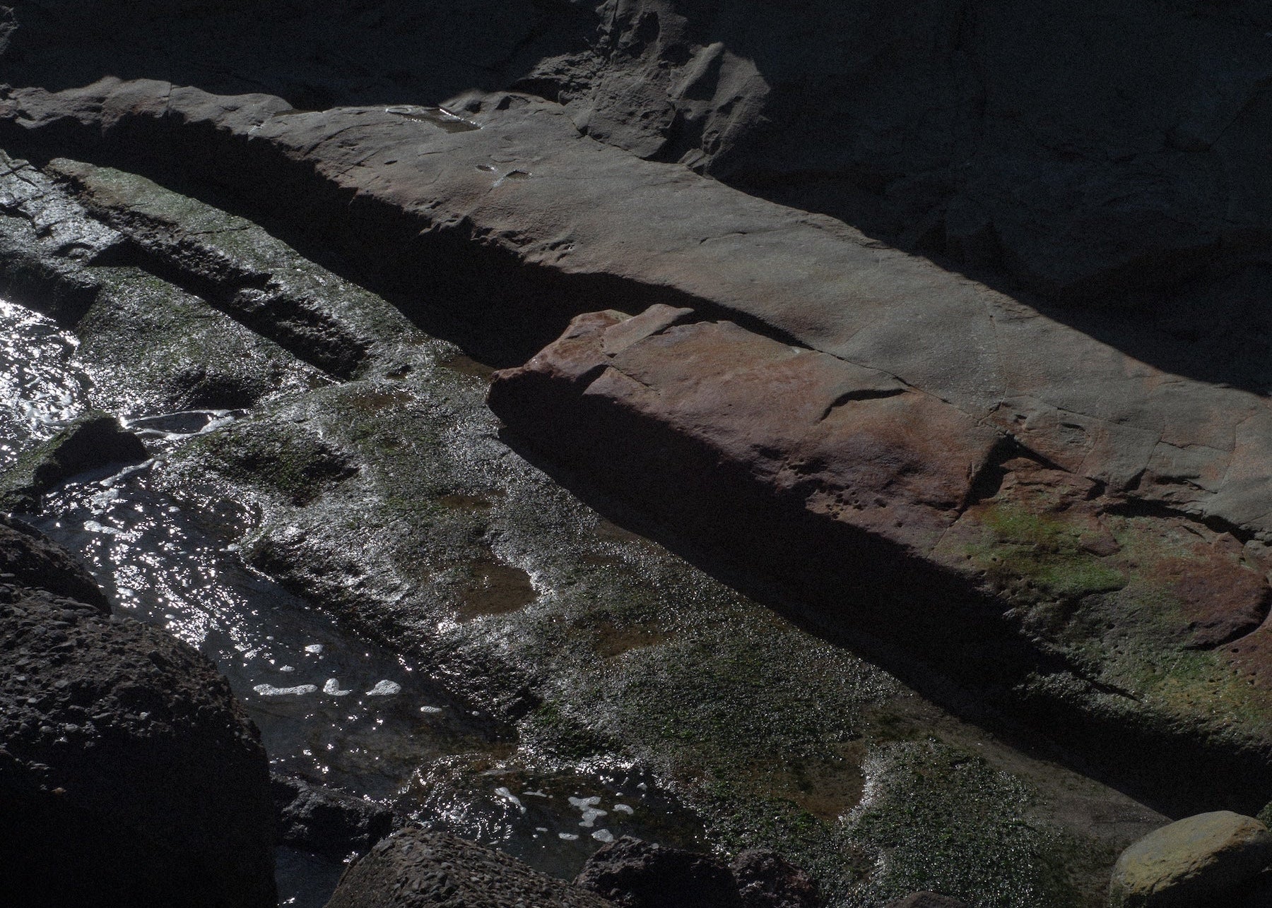 Close-up of a rocky surface with water and moss