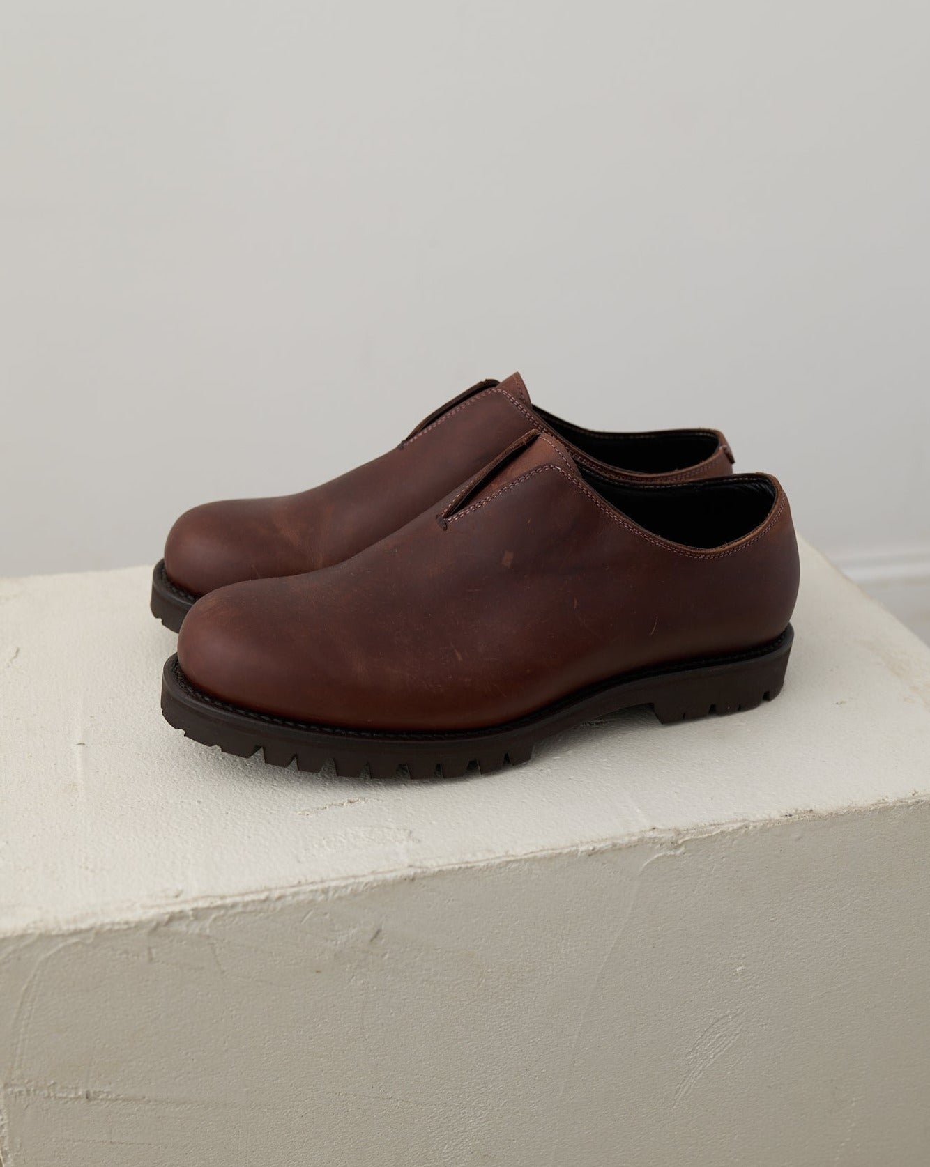 Artist Shoe