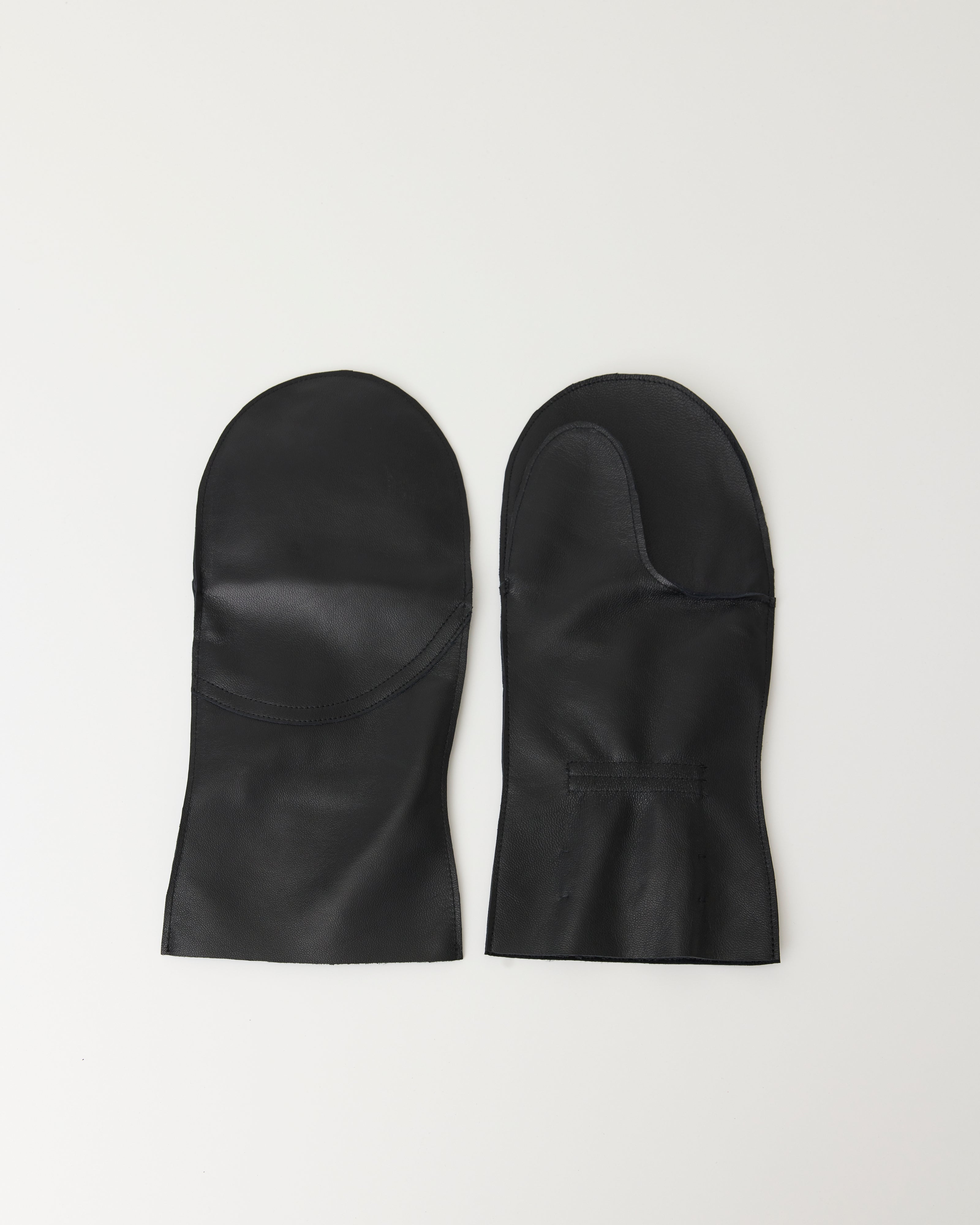 Sage Nation – Colbo